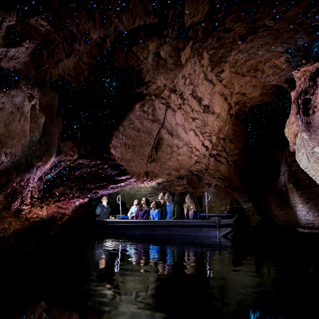 Real NZ Glow Worm Cave#1